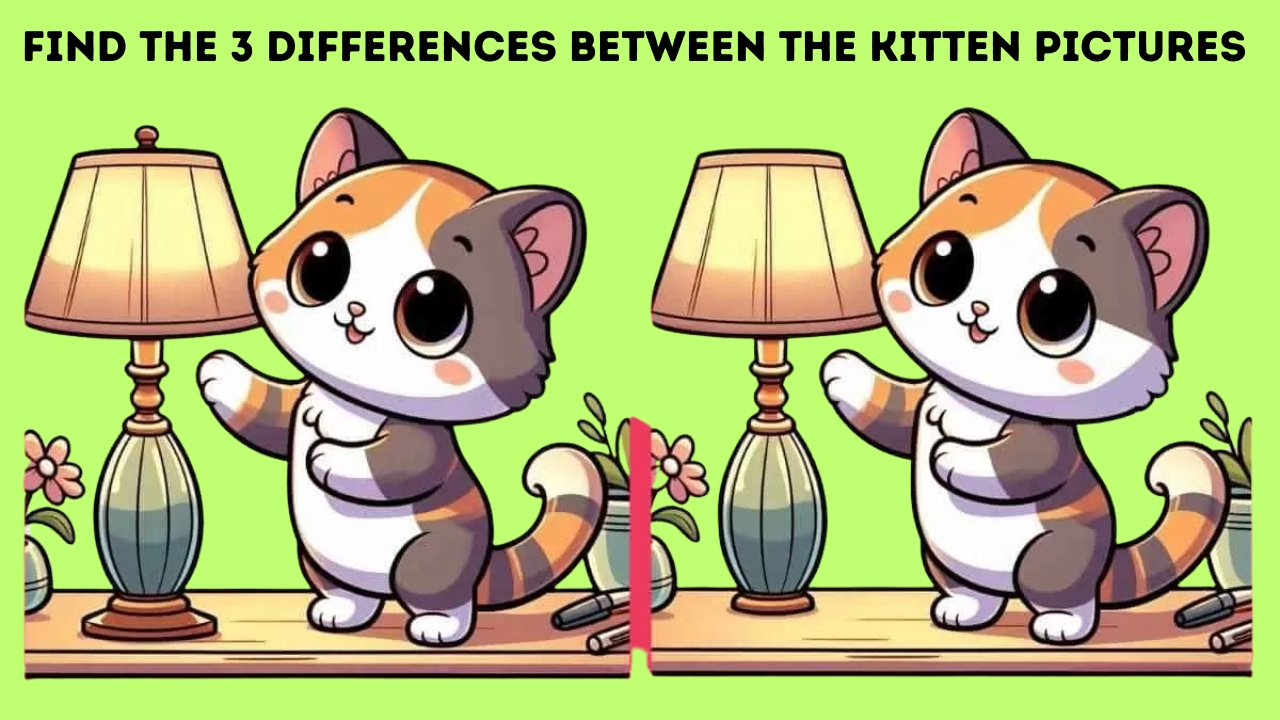 3 Differences Between the Kitten Pictures