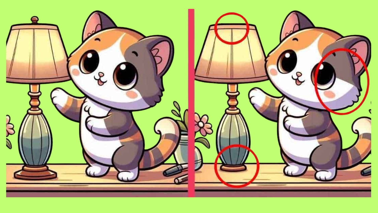 3 Differences Between the Kitten Pictures