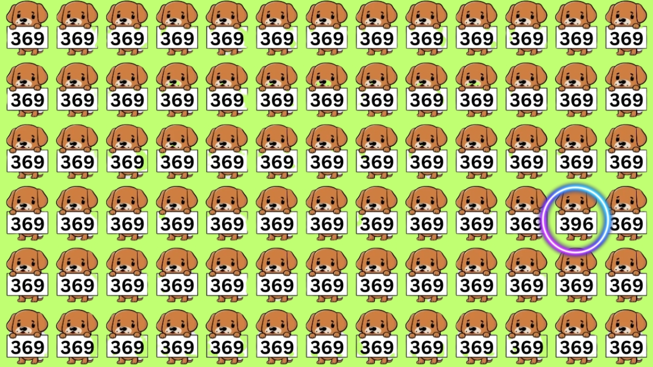 Hidden Number 396