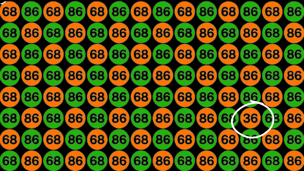 Hidden Number 36