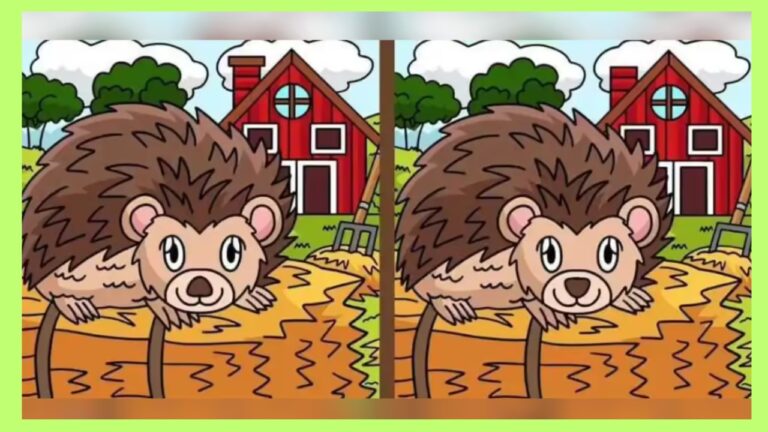 Find 3 Differences