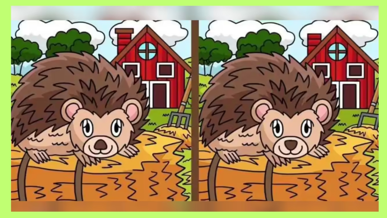 Find 3 Differences