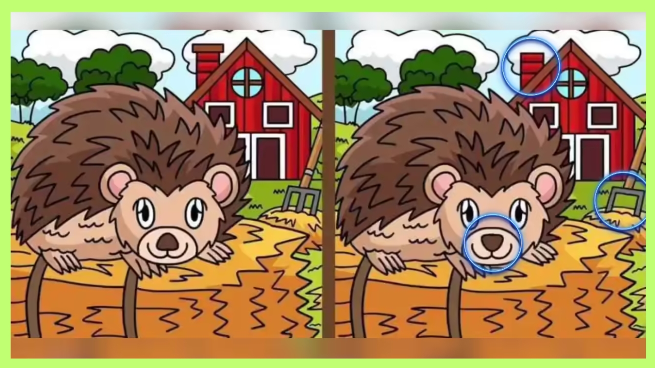 Find 3 Differences
