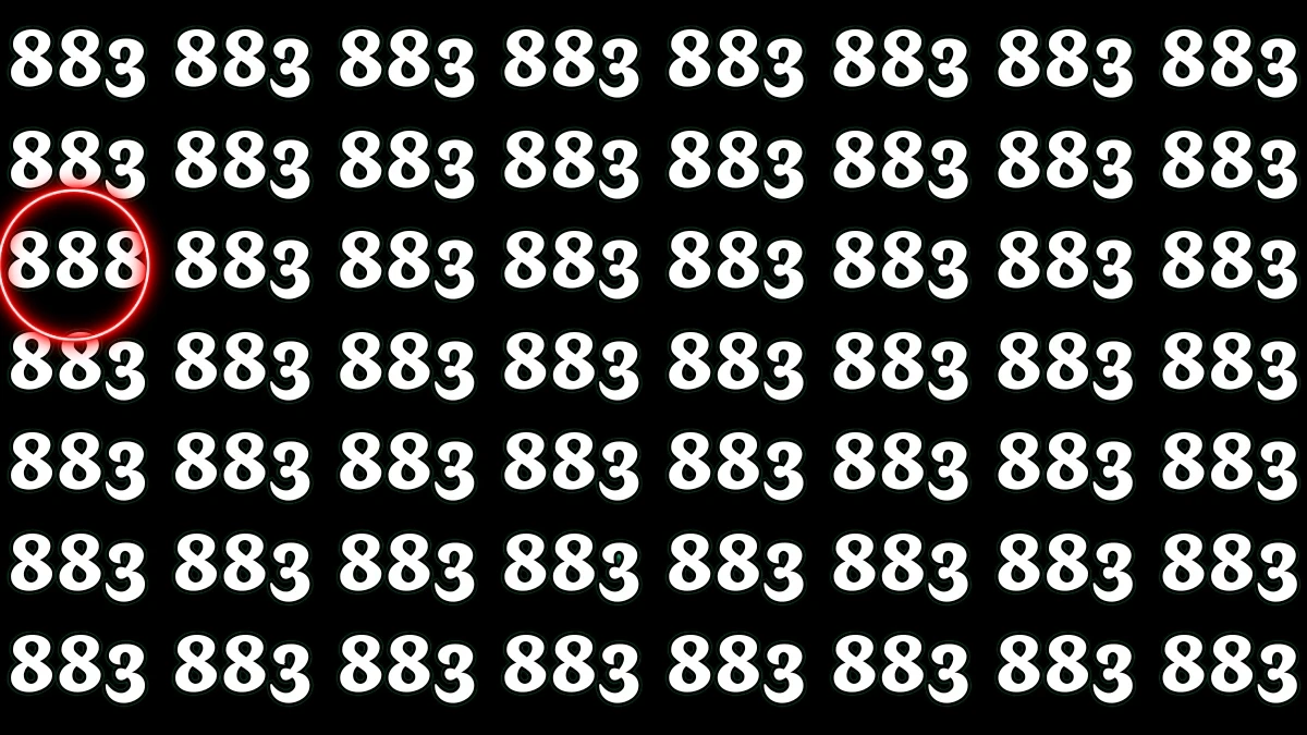 Find the Hidden Number 888