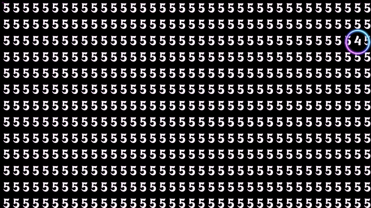 Hidden Number 4