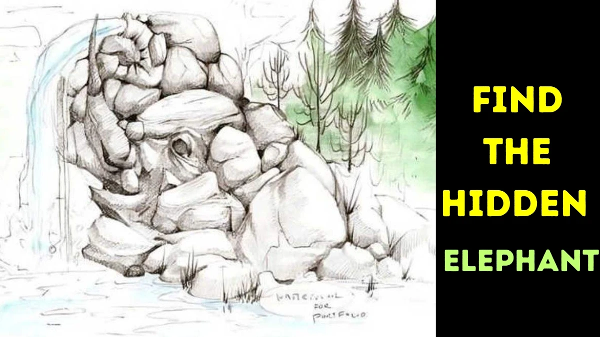 Hidden Elephant
