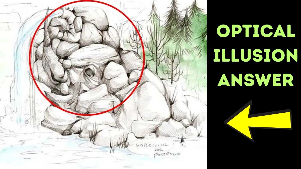 Hidden Elephant