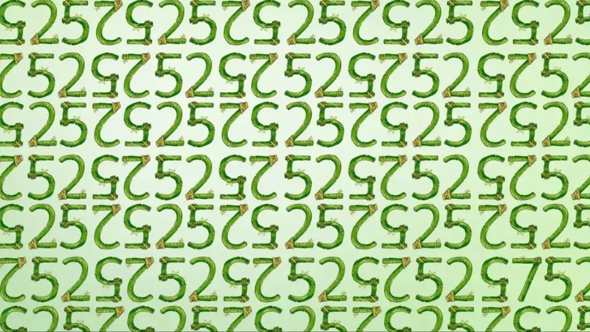 Hidden Number 75