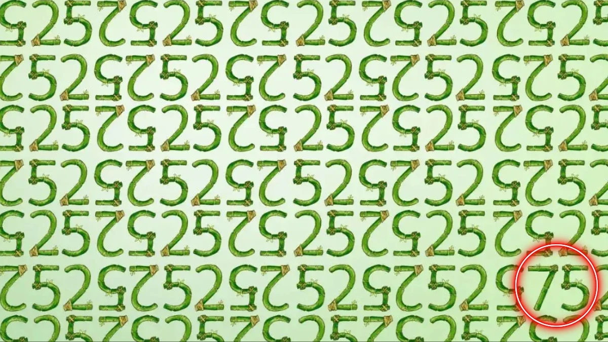 Hidden Number 75