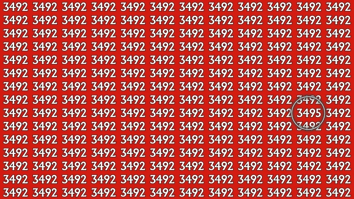 Hidden Number 3495