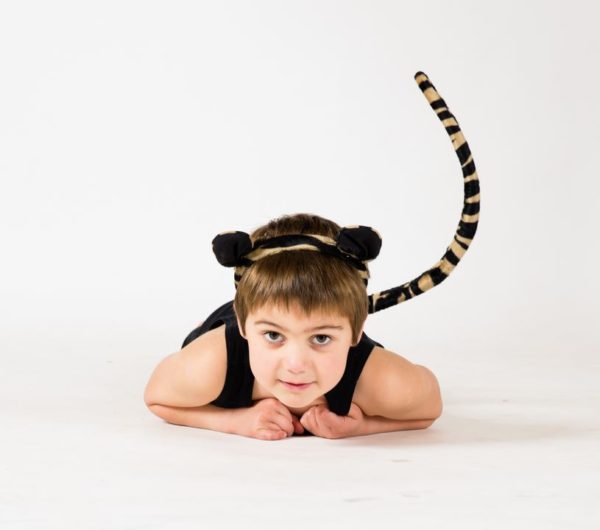 Tiger Costume