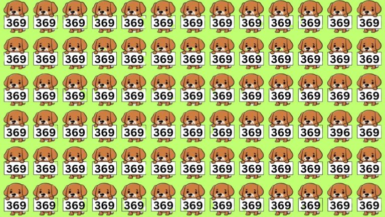 Hidden Number 396